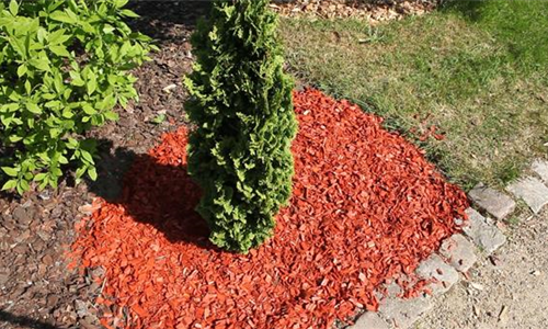 Mulch - Einsatz im Garten