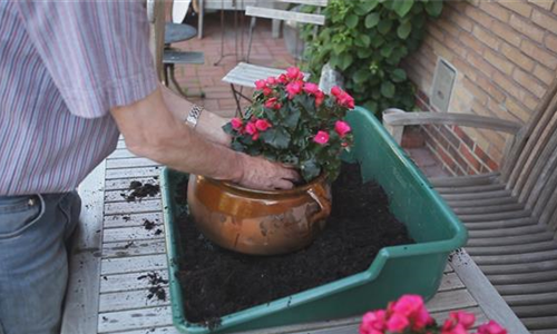 Blumenkübel - Bepflanzen mit mehreren Sommerblumen