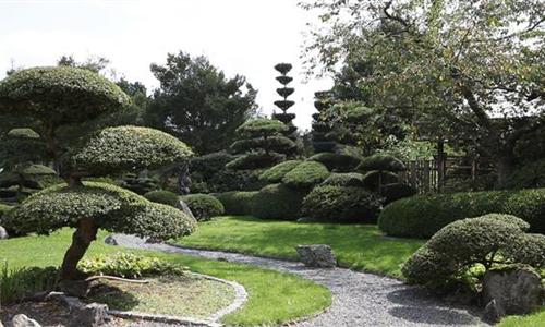 Gartengestaltung - Japangarten